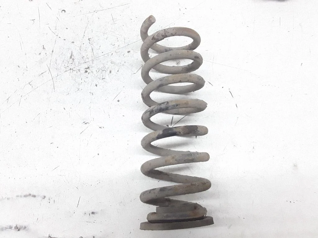 Rear coil spring