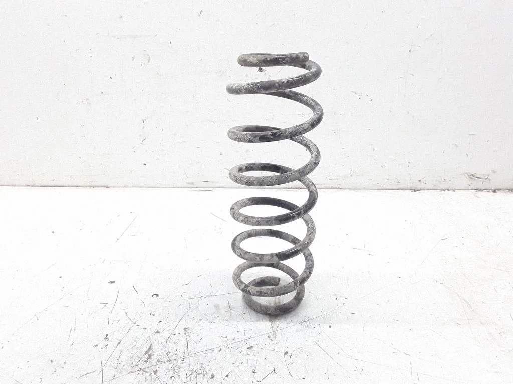 Rear coil spring