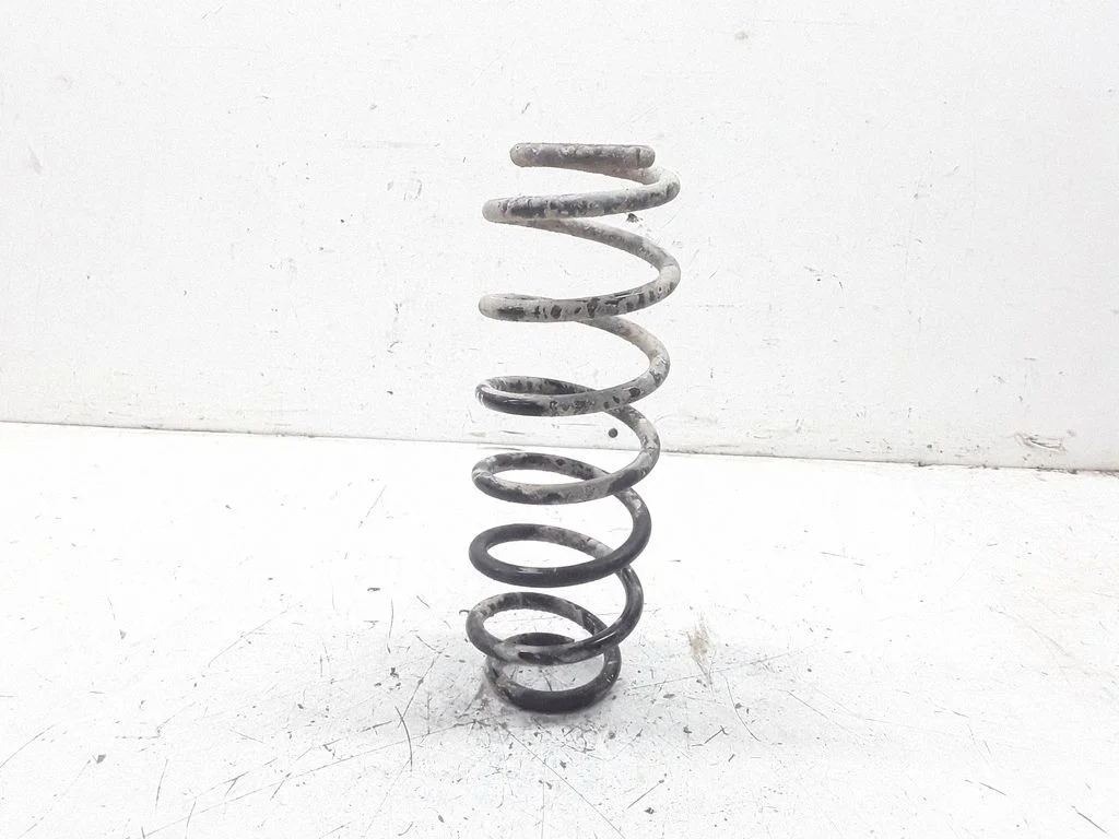 Rear coil spring