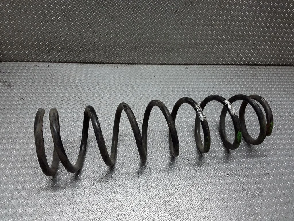 Rear coil spring