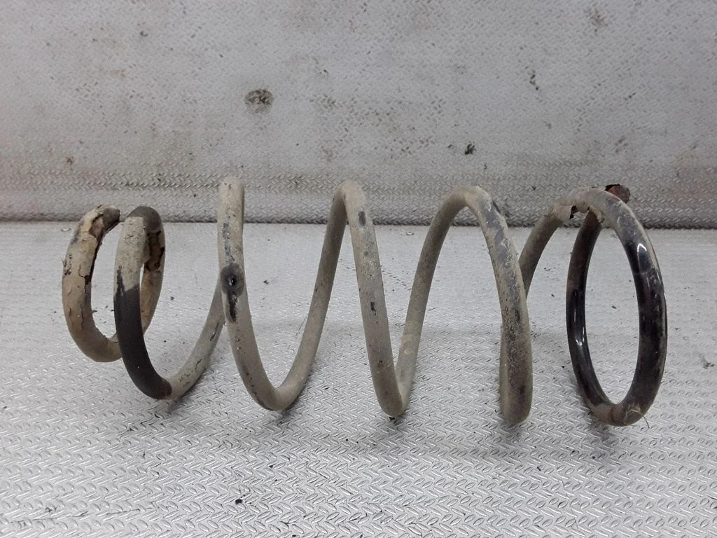 Rear coil spring