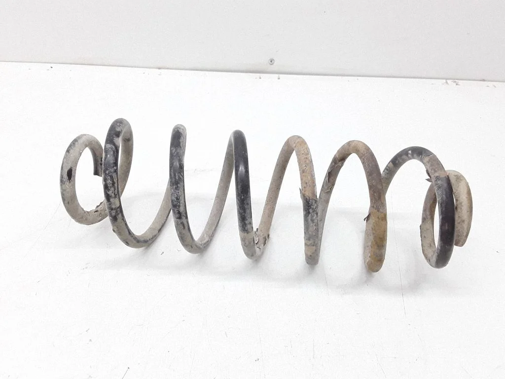 Rear coil spring