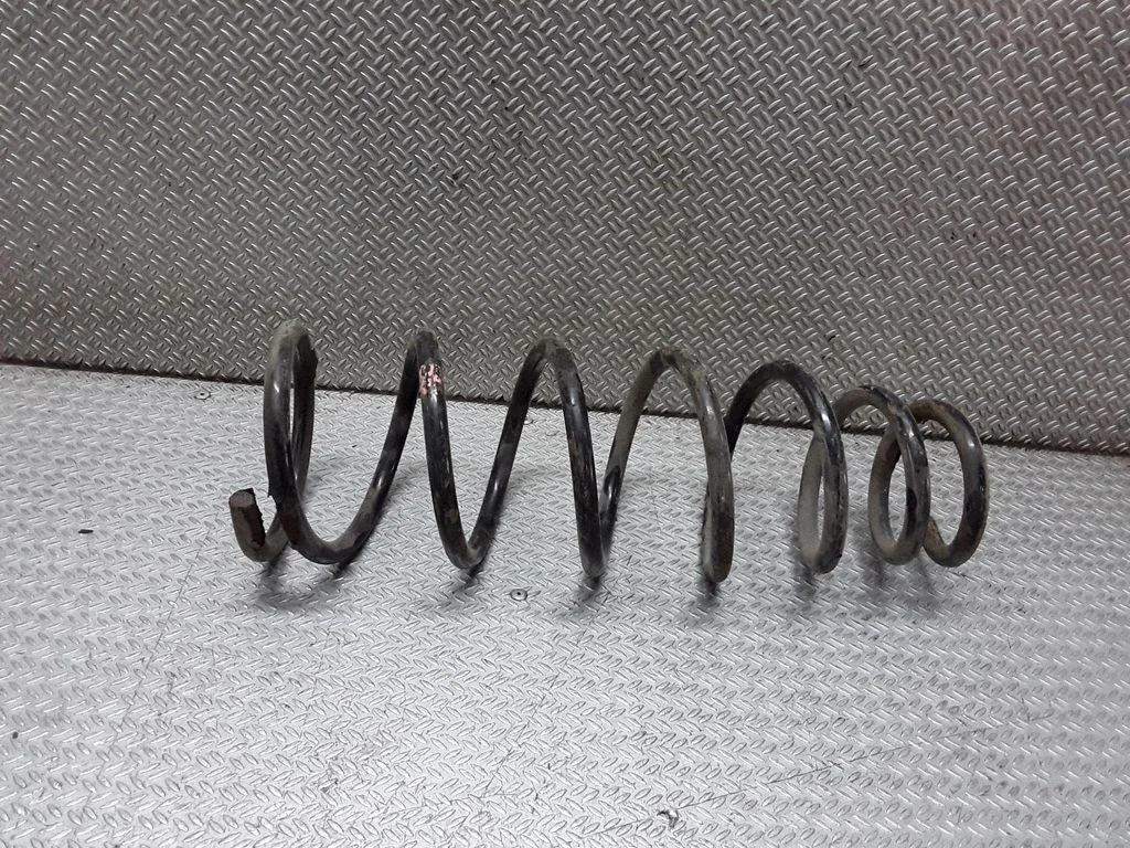 Rear coil spring