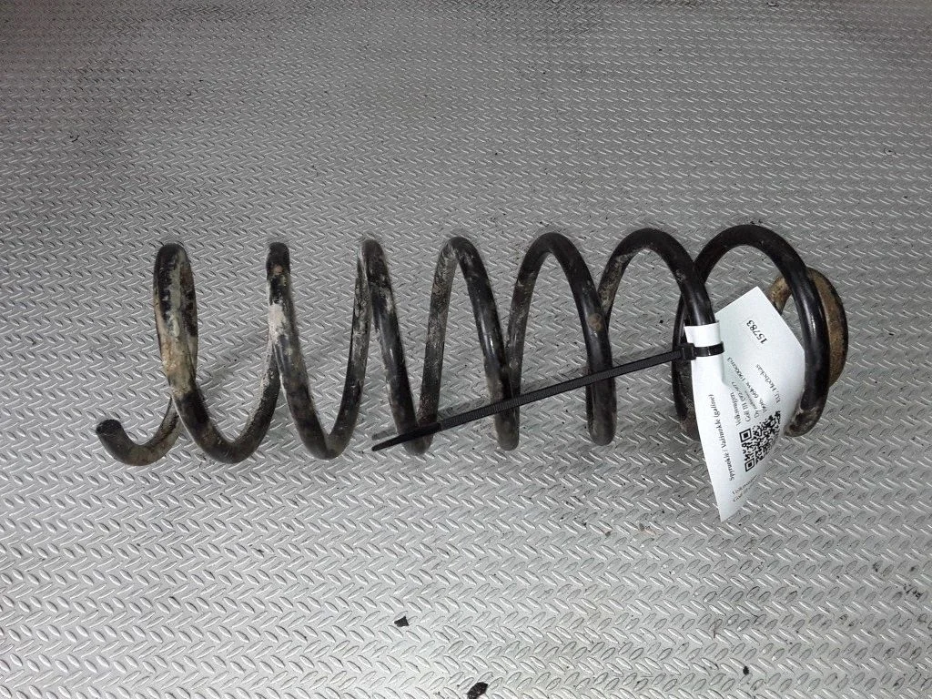 Rear coil spring