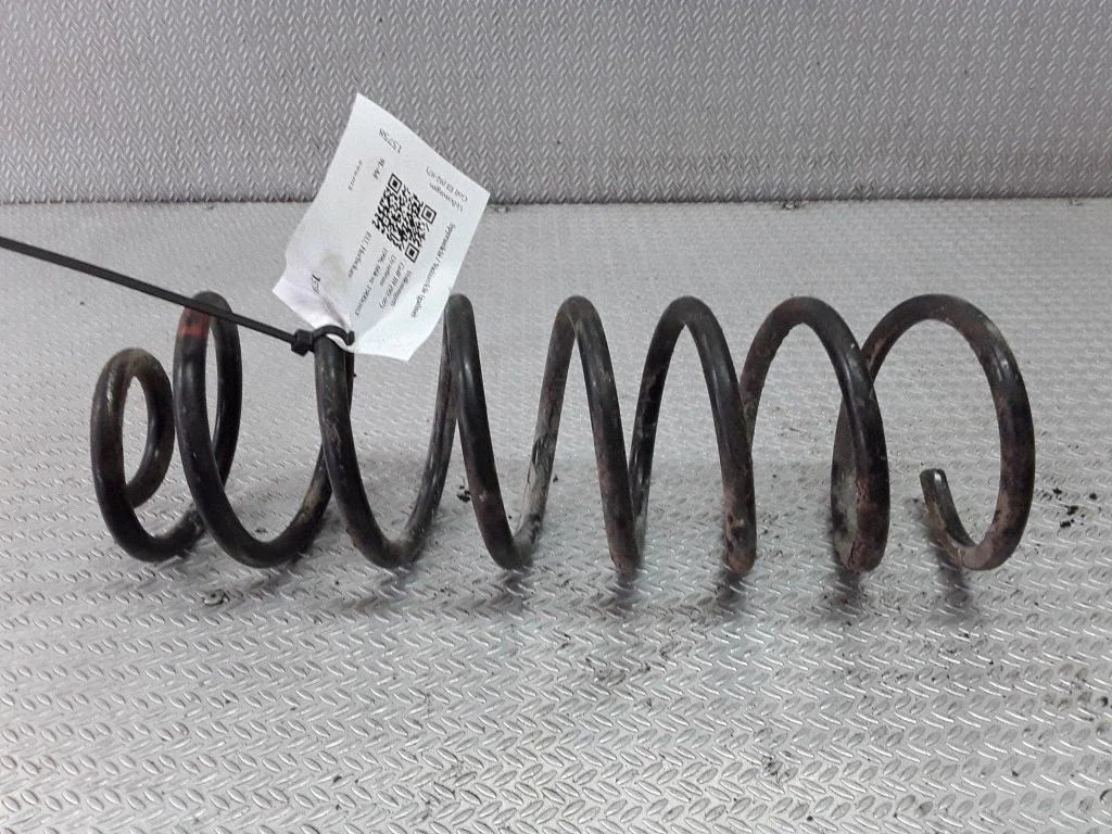 Rear coil spring