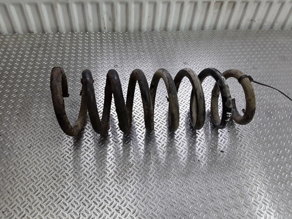 Rear coil spring