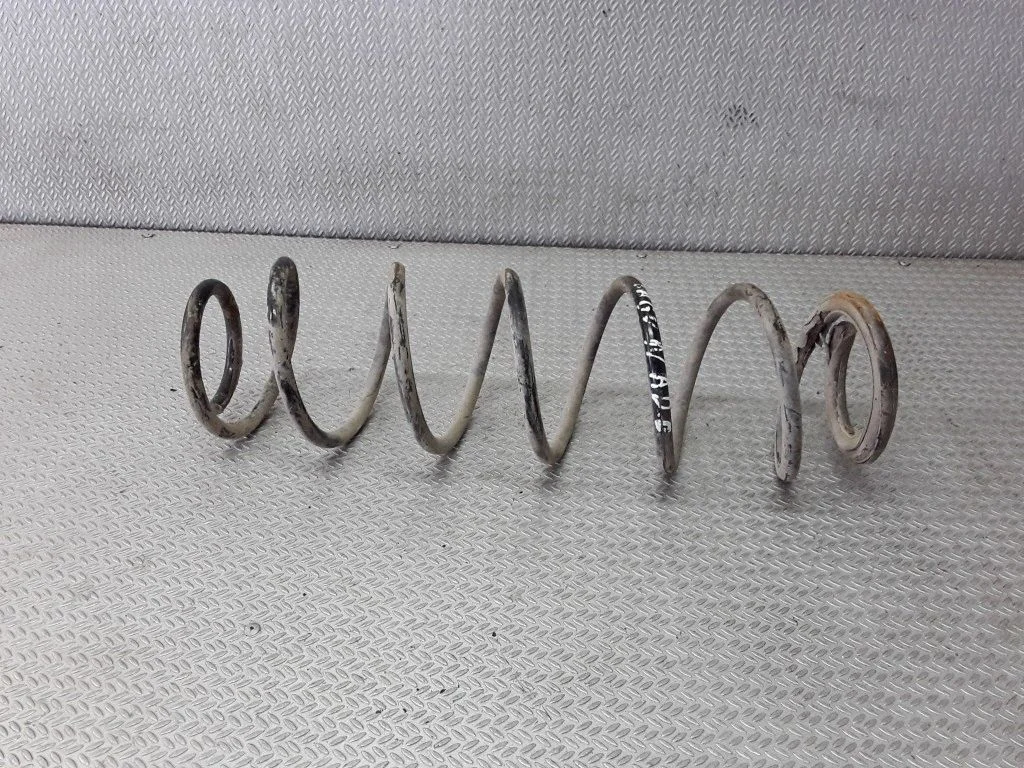 Rear coil spring