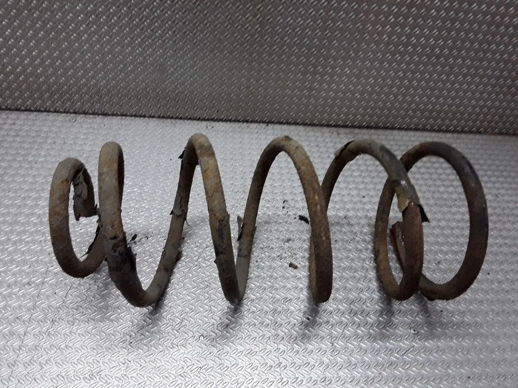 Rear coil spring
