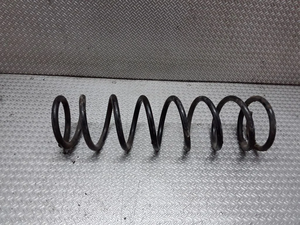 Rear coil spring