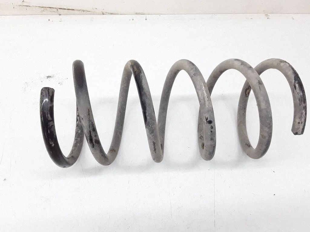 Rear coil spring