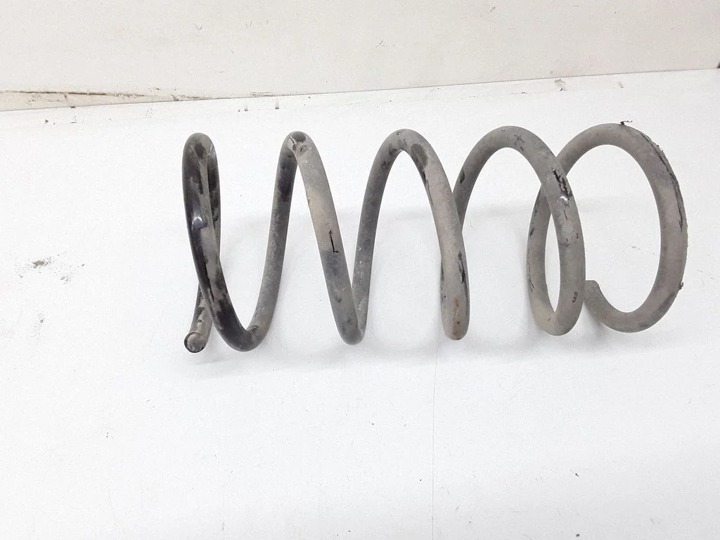 Rear coil spring