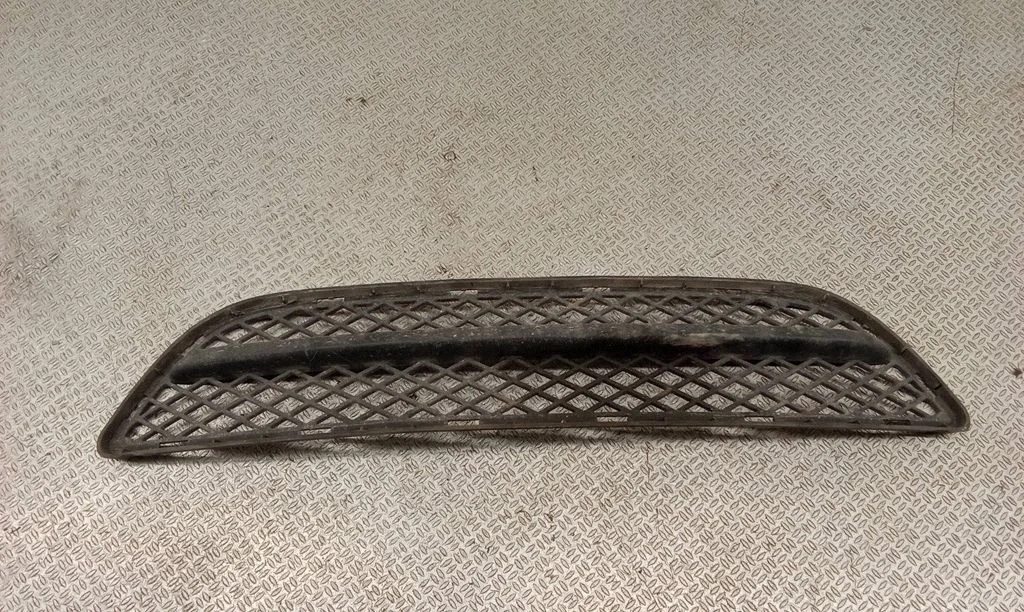 Front bumper lower grill 7154556