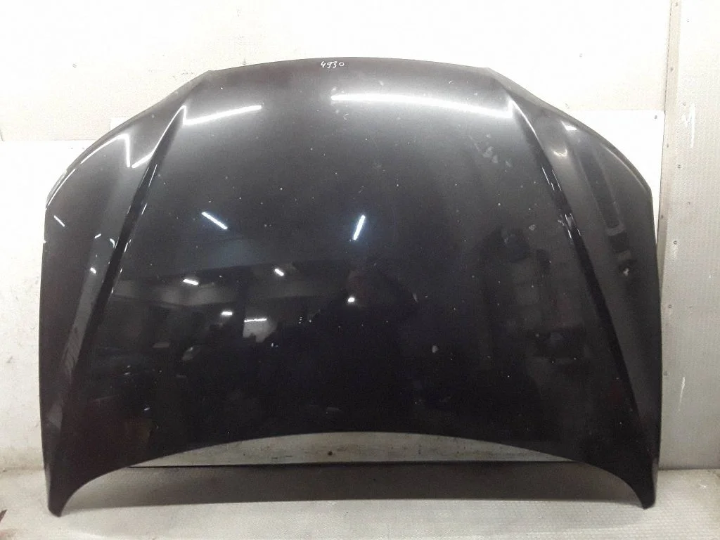 Engine bonnet/hood