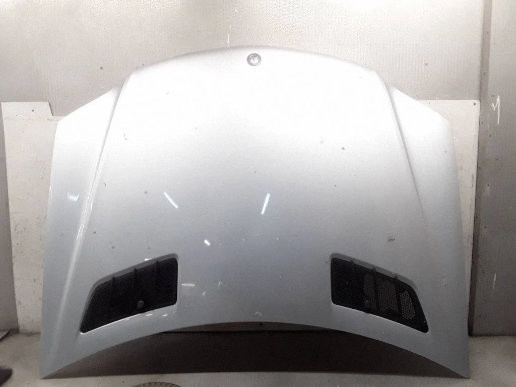 Engine bonnet/hood