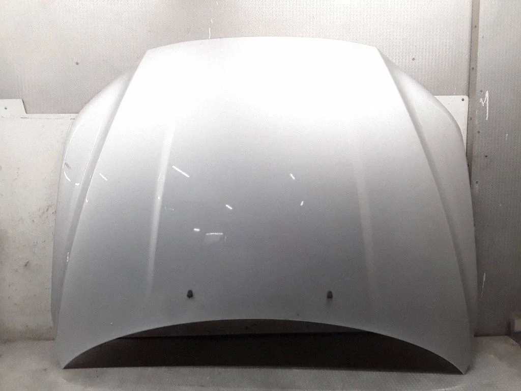 Engine bonnet/hood