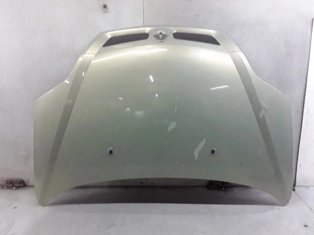Engine bonnet/hood