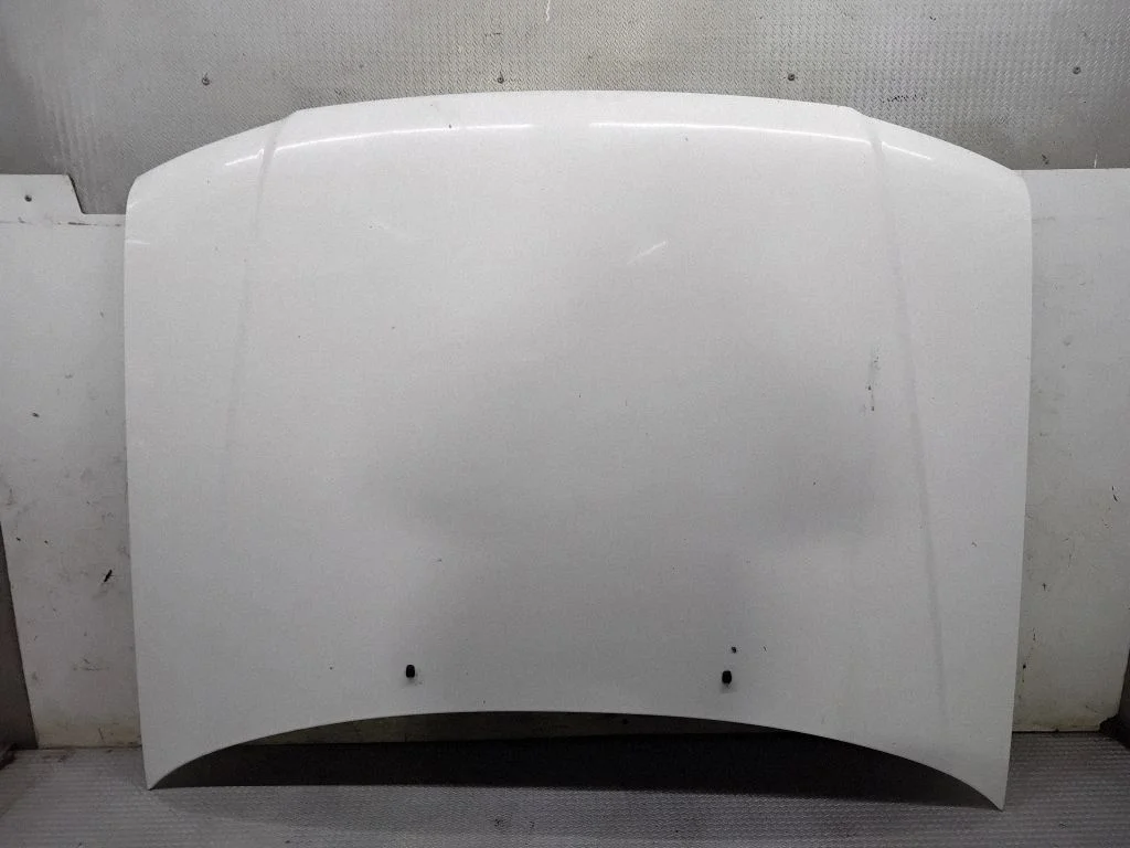 Engine bonnet/hood