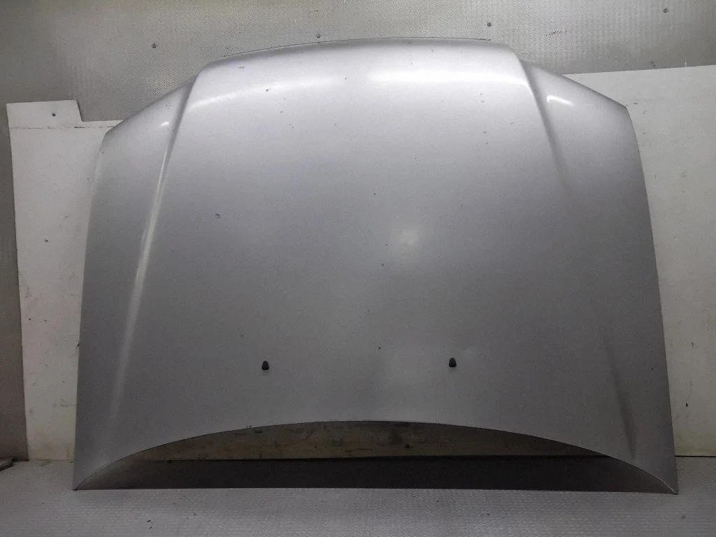 Engine bonnet/hood