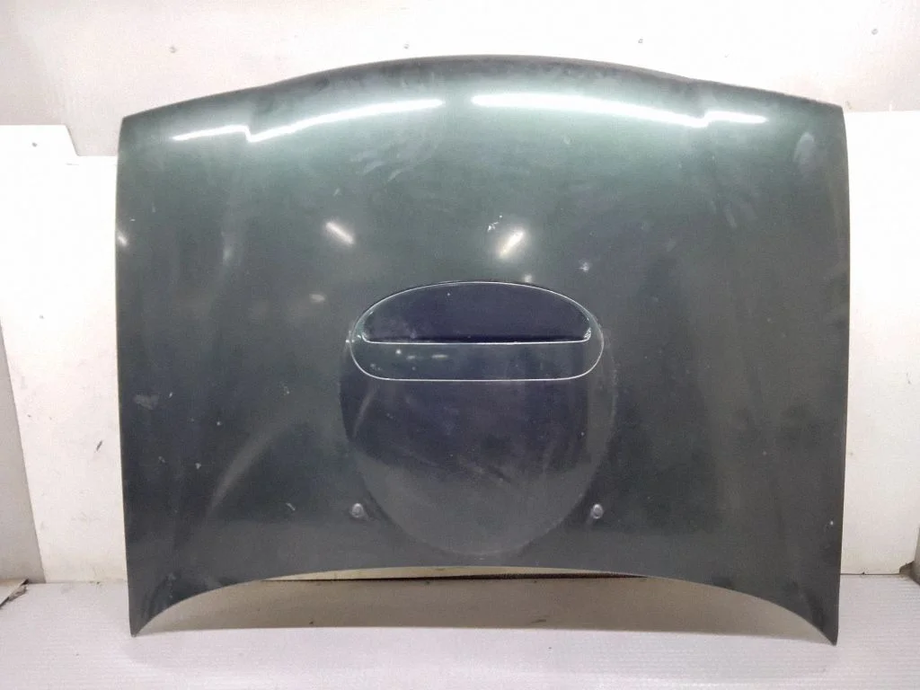 Engine bonnet/hood