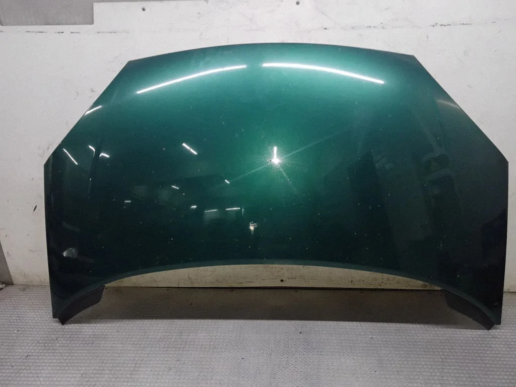 Engine bonnet/hood