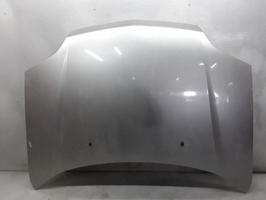 Engine bonnet/hood