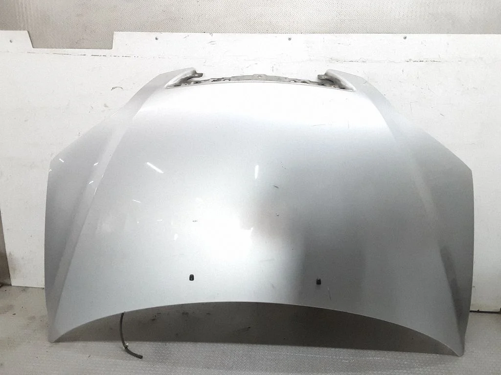 Engine bonnet/hood