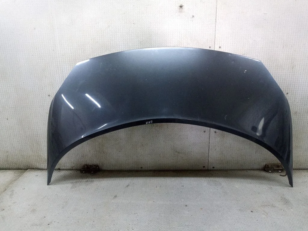 Engine bonnet/hood