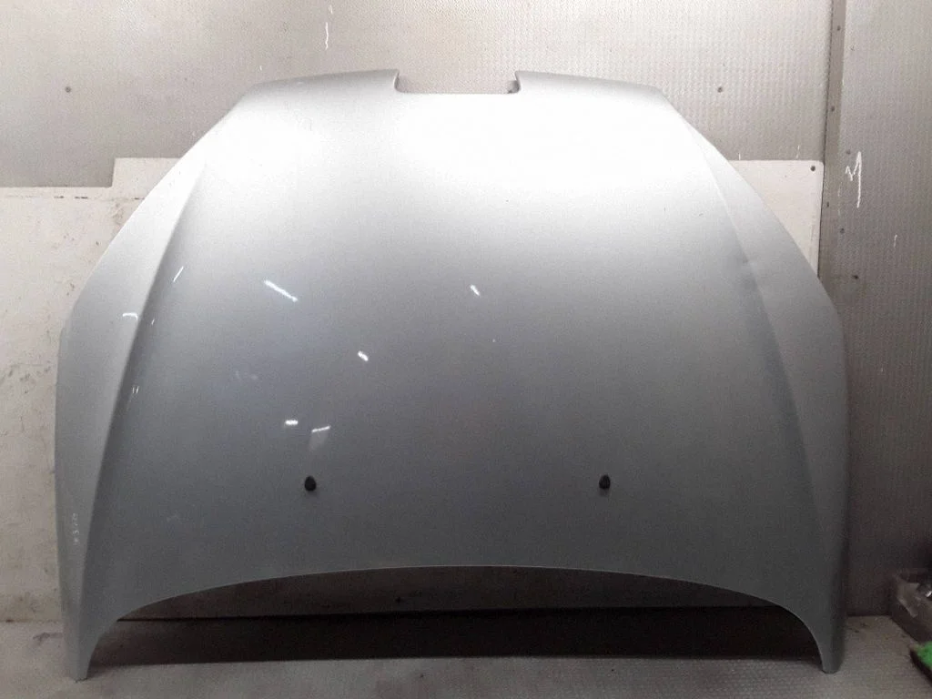 Engine bonnet/hood