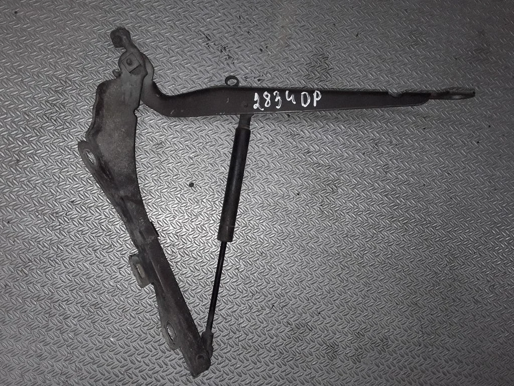 Engine bonnet/hood hinges – right
