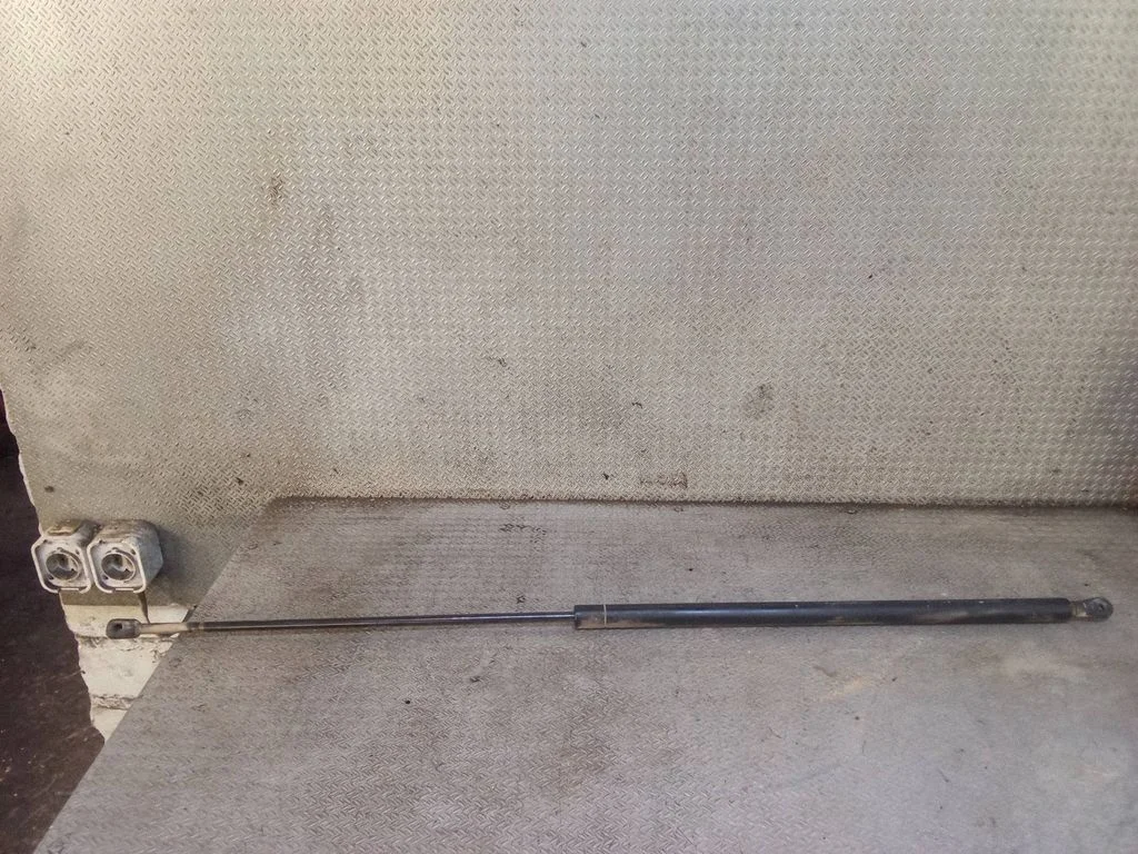 Front bonnet/hood damper/strut