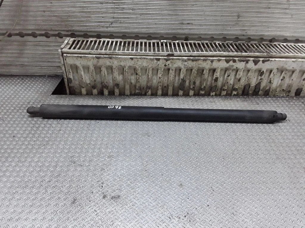 Tailgate/trunk strut/damper