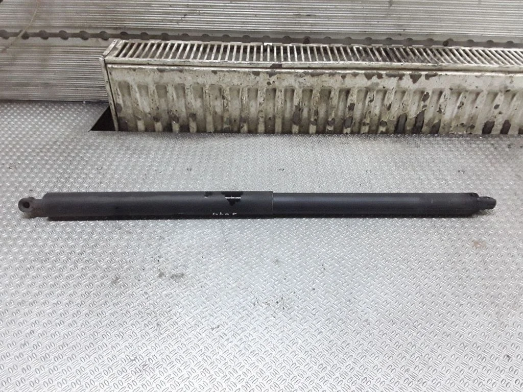 Tailgate/trunk strut/damper
