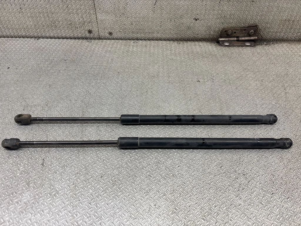 Tailgate/trunk strut/damper
