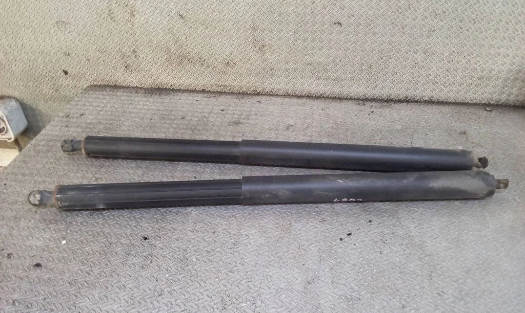 Tailgate/trunk strut/damper
