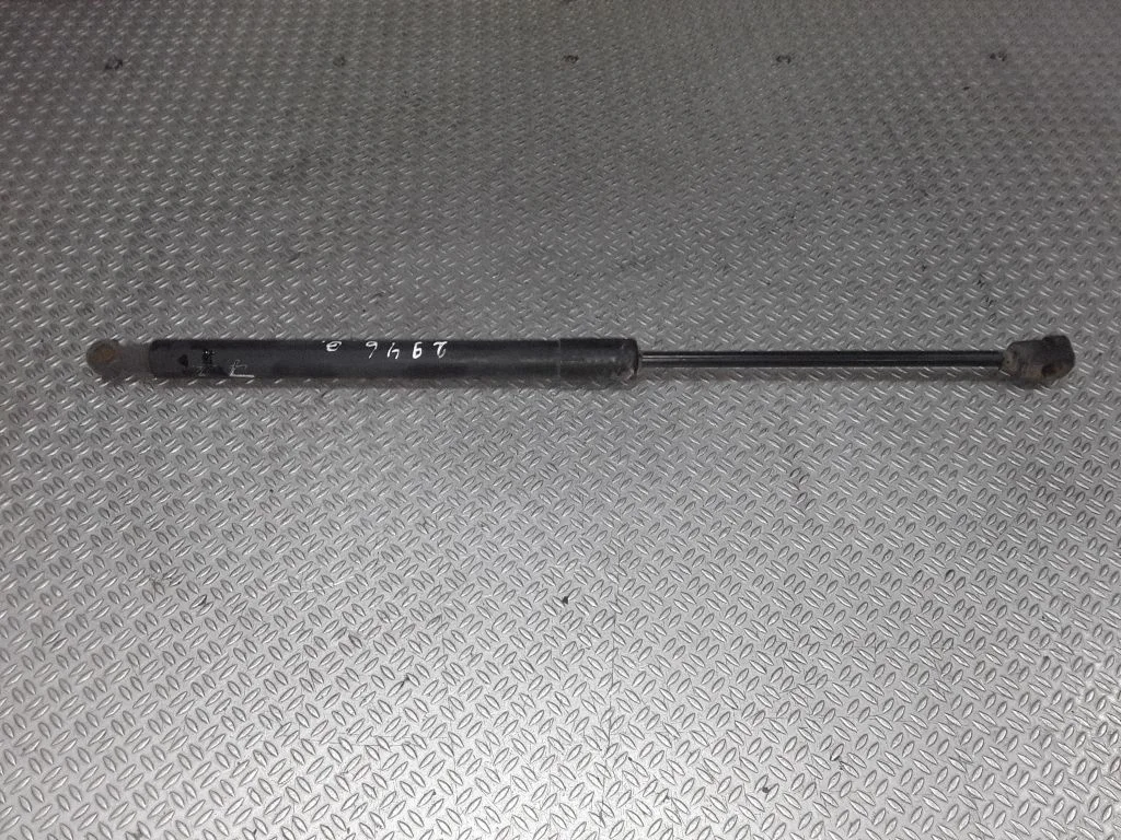 Tailgate/trunk strut/damper