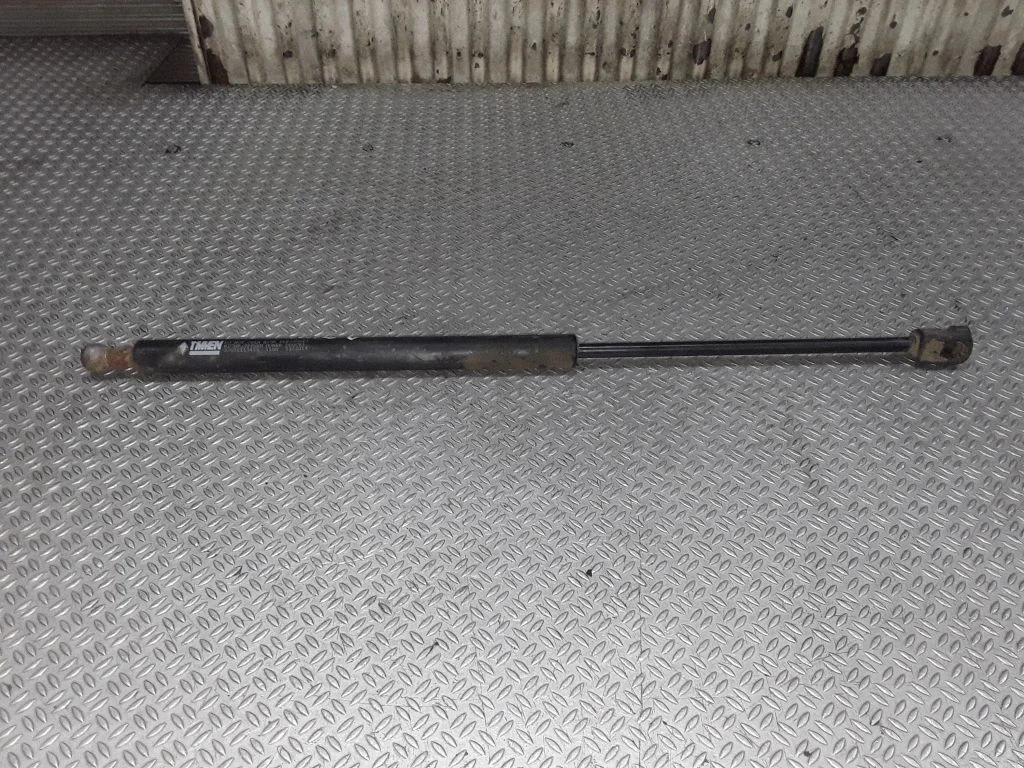Tailgate/trunk strut/damper