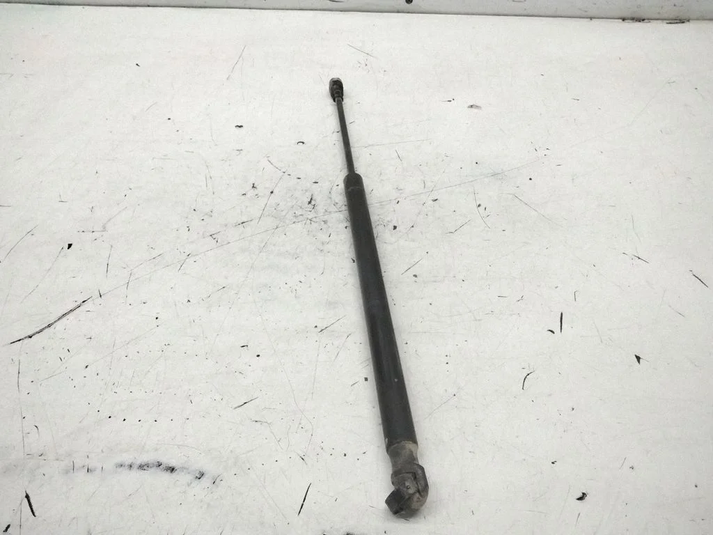 Tailgate/trunk strut/damper