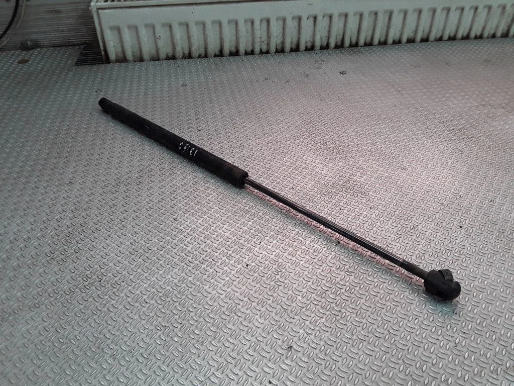 Tailgate/trunk strut/damper