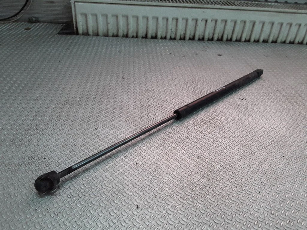 Tailgate/trunk strut/damper