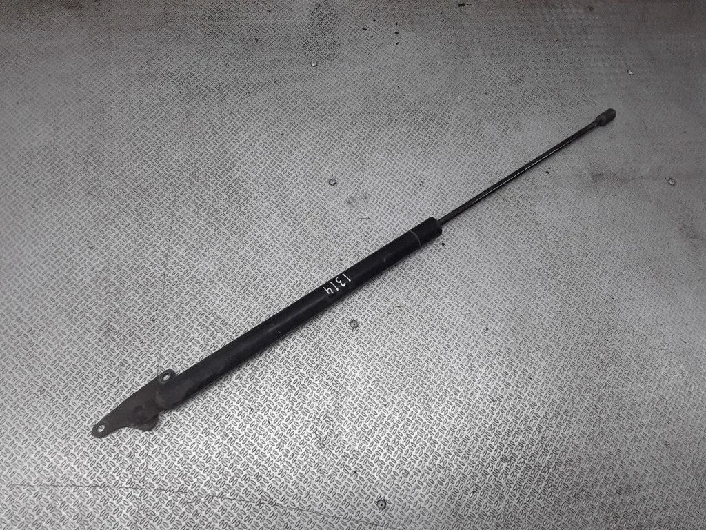 Tailgate/trunk strut/damper