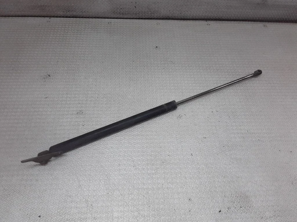 Tailgate/trunk strut/damper