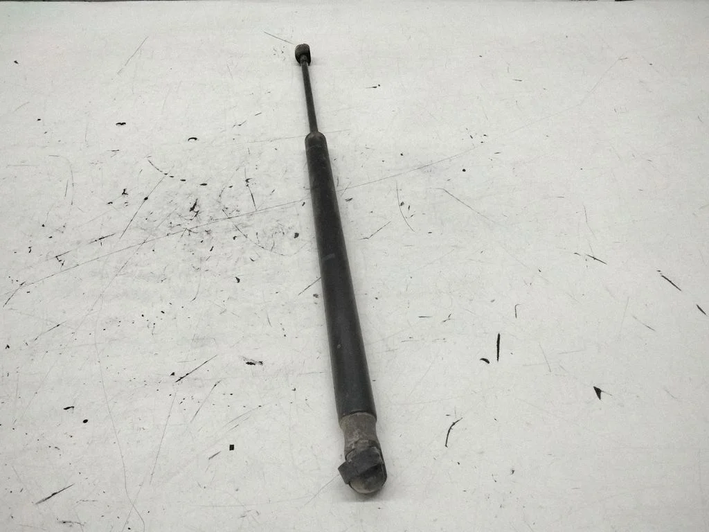 Tailgate/trunk strut/damper