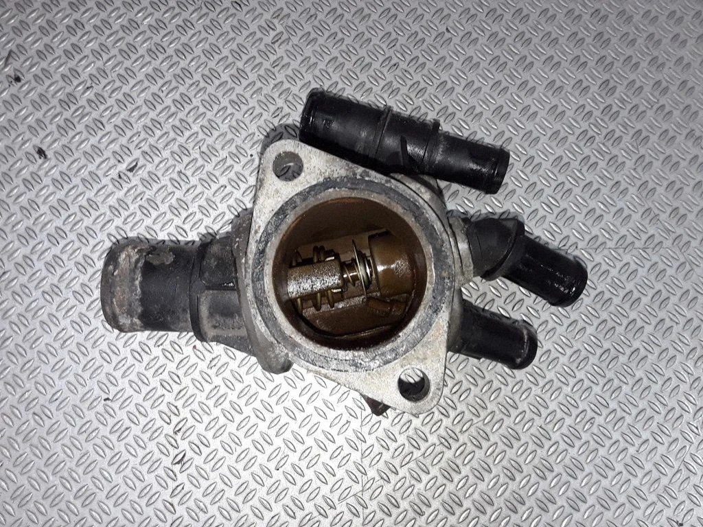 Thermostat/thermostat housing