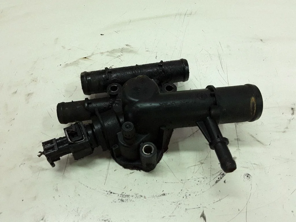 Thermostat/thermostat housing
