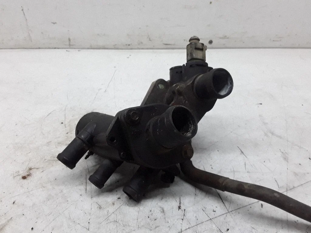 Thermostat/thermostat housing 032121111