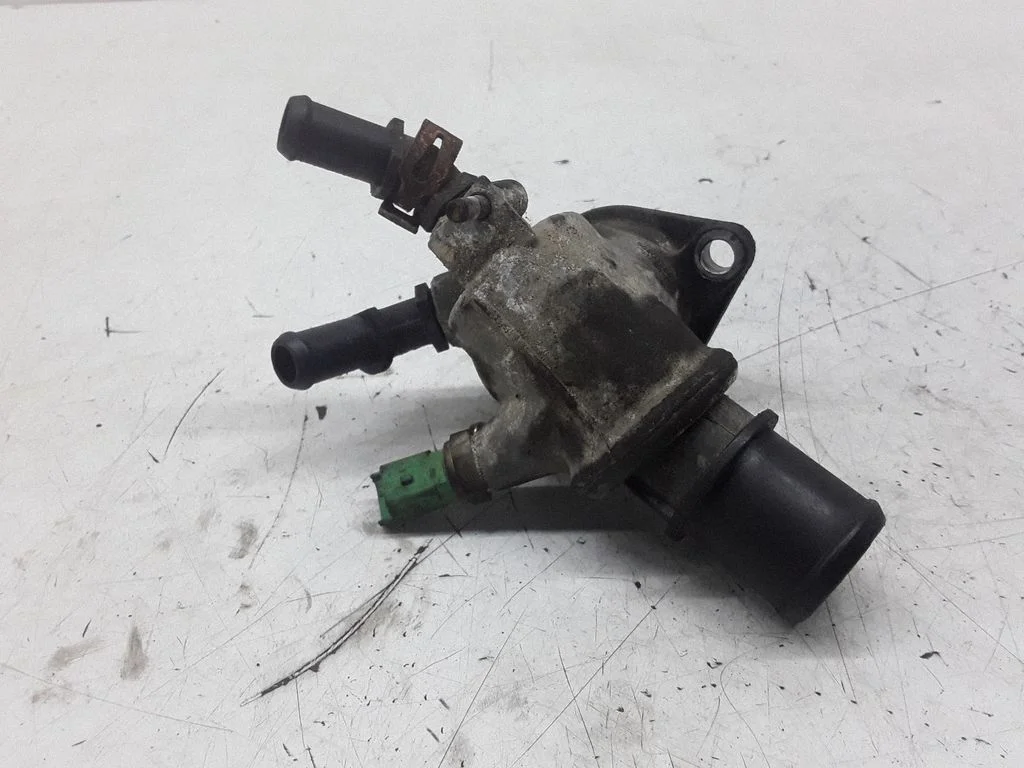 Termostaat / termostaadi korpus 55203388