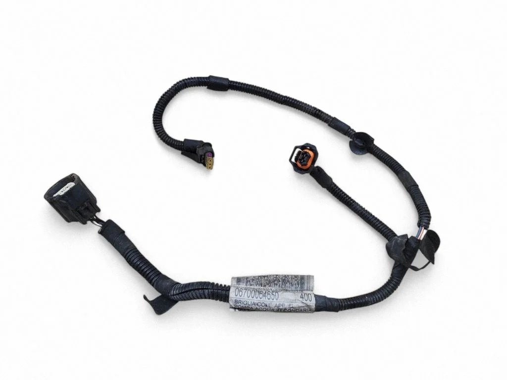 Brake wiring harness 06700064650