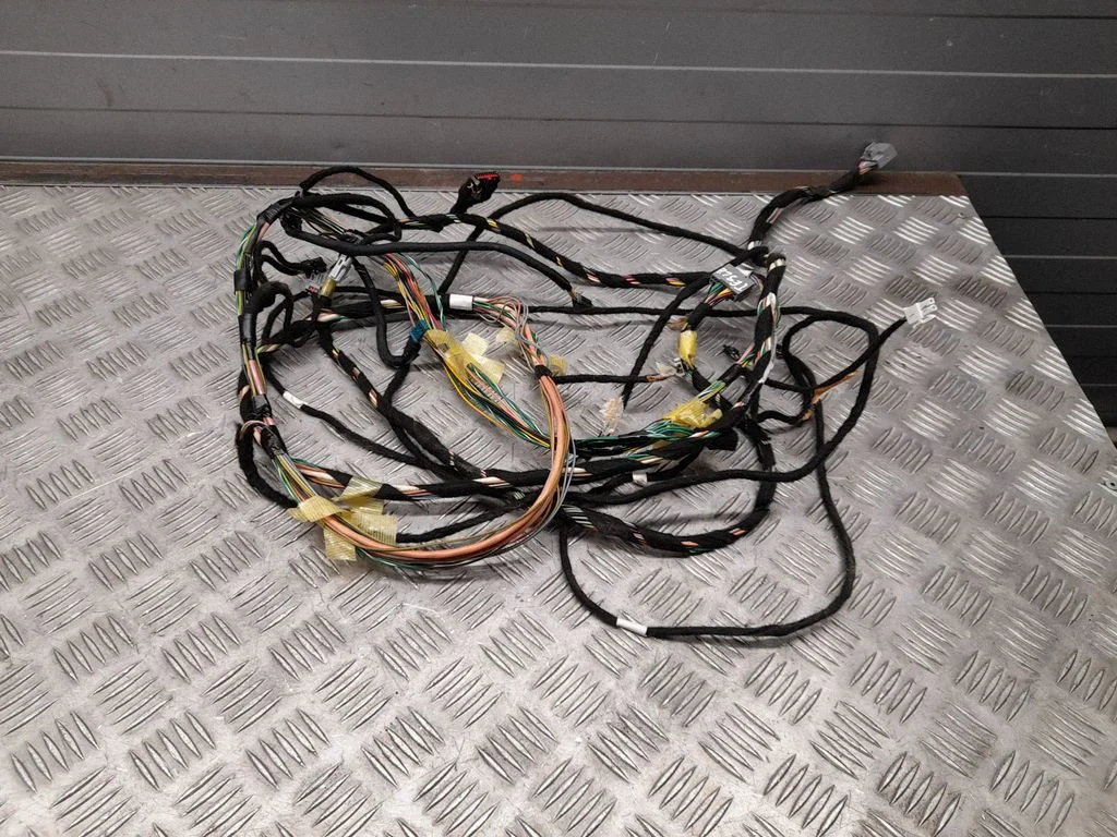 Piduri juhtmestik 100455600F