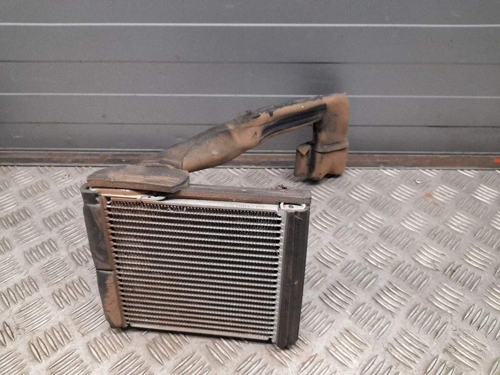 Krāsniņas radiators