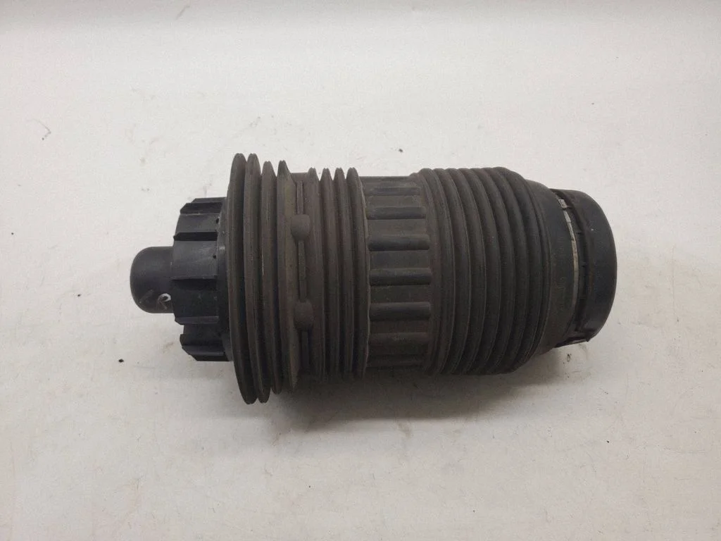 Rear air suspension bag/shock absorber – Porsche Panamera (970) (2009-2017)